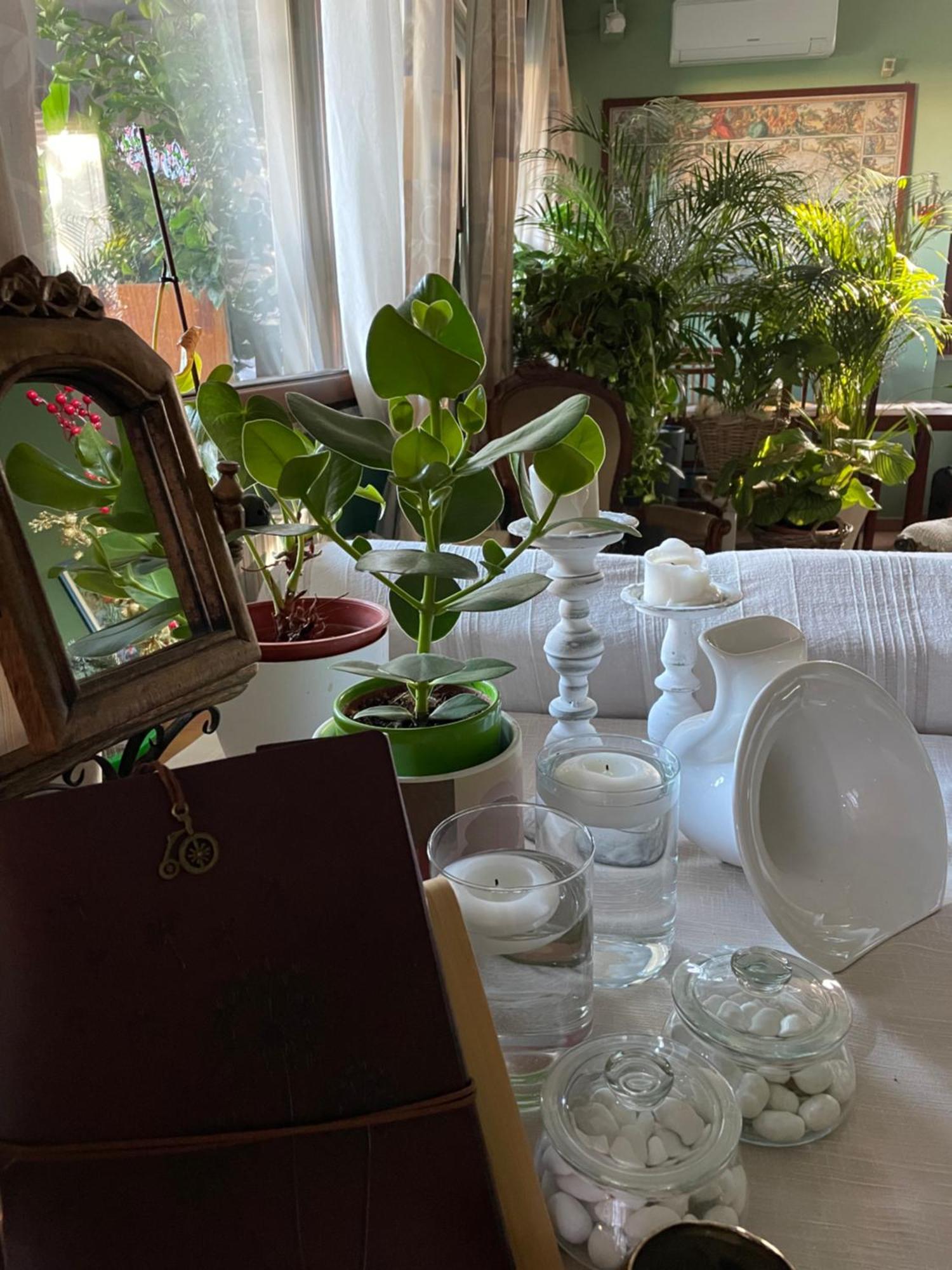 Il Giardino Di Emilia - Intero Appartamento In Villa Con Giardino Privato E Piscina Estiva Pontirolo Nuovo Exterior foto